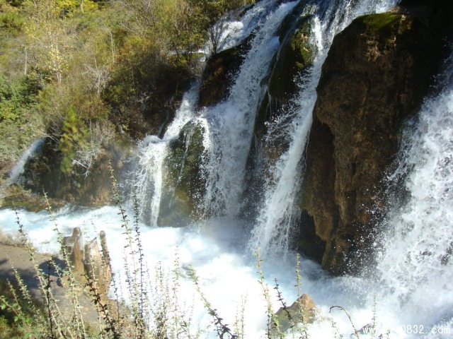 DSC03229.JPG