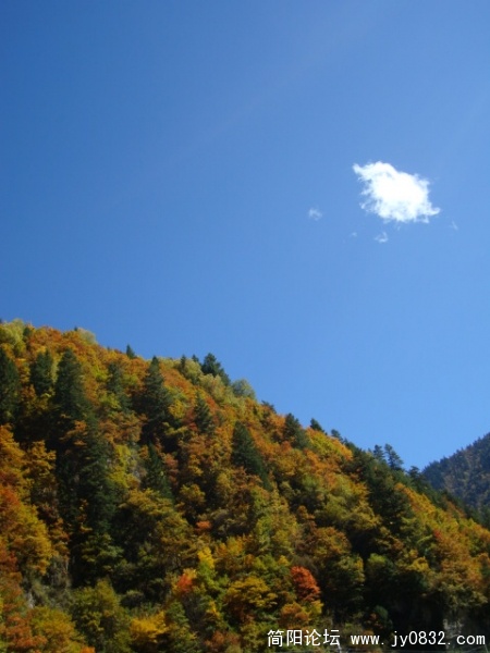DSC03643.JPG