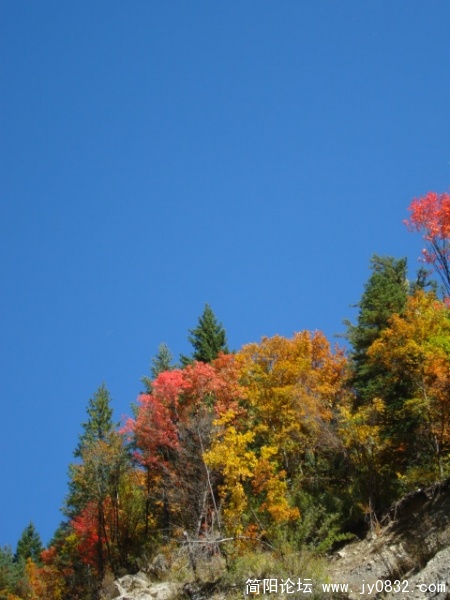 DSC03609.JPG