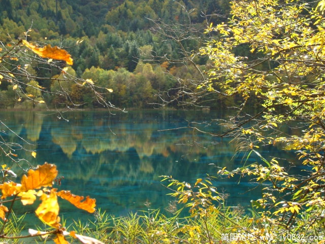 DSC03122.JPG