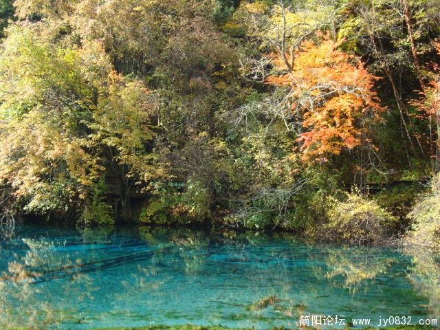 DSC03118.JPG