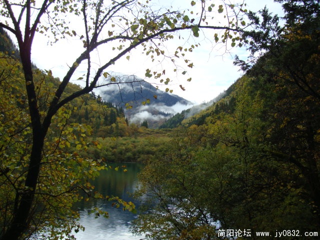 DSC03080.JPG