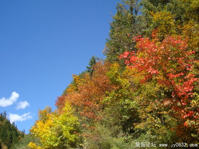DSC03615.JPG