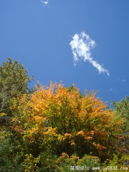 DSC03726.JPG
