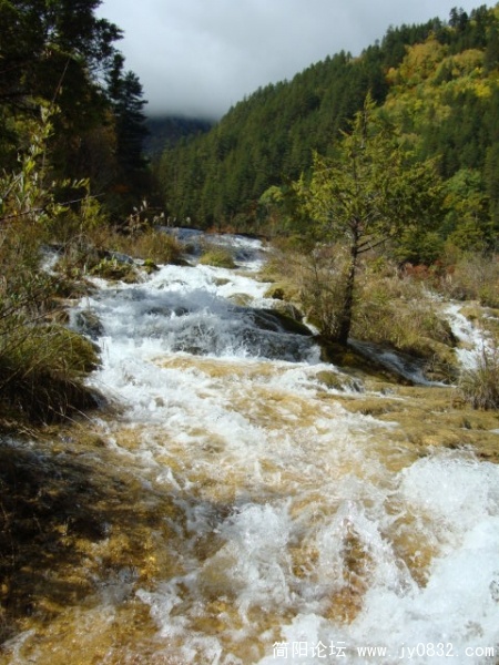 DSC03160.JPG