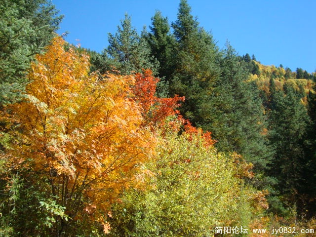 DSC03535.JPG
