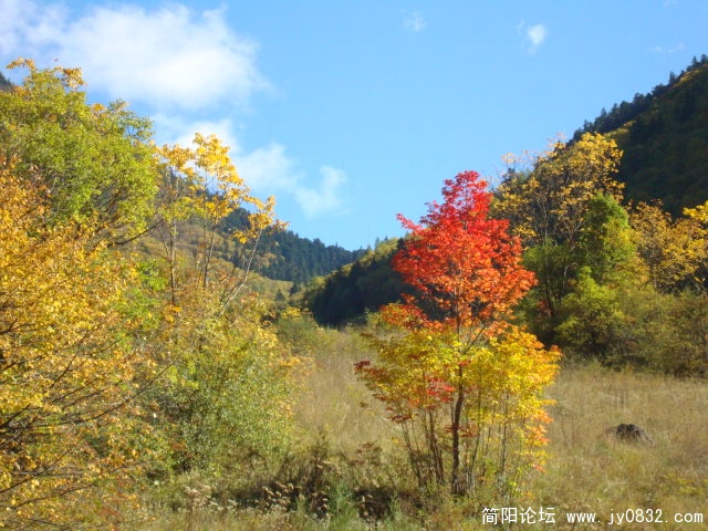 DSC03259.JPG