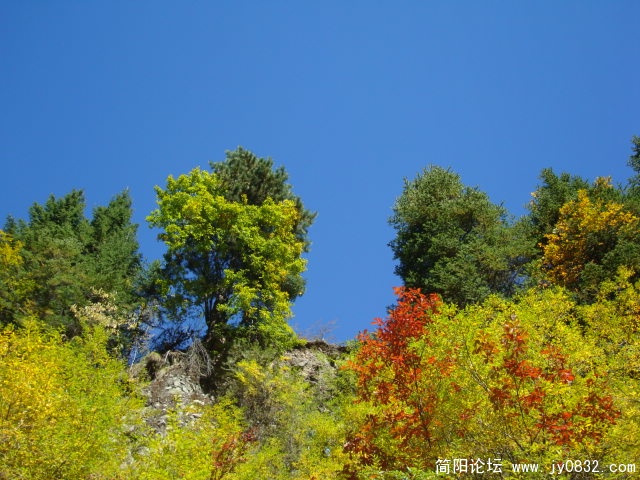 DSC03572.JPG