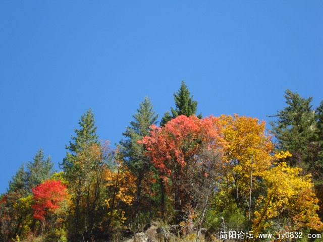 DSC03605.JPG