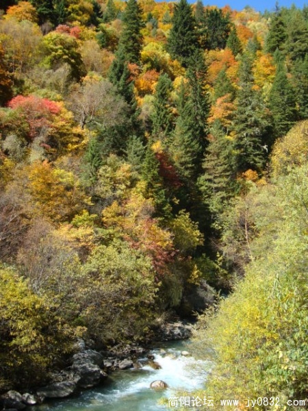 DSC03564.JPG