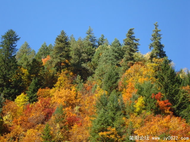 DSC03561.JPG