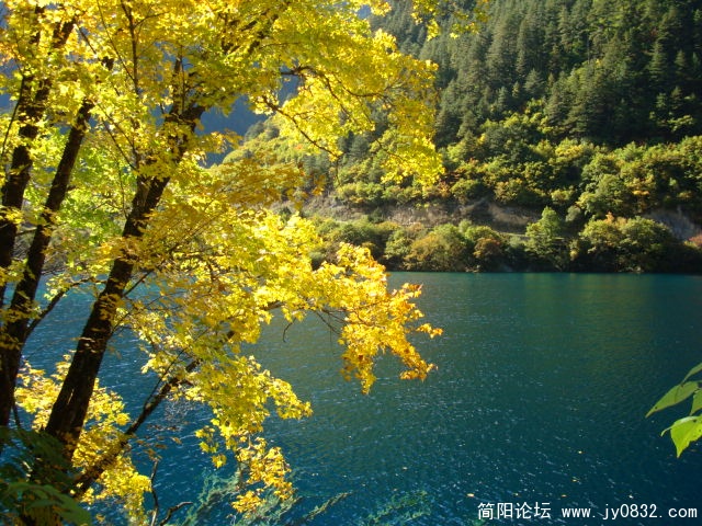 DSC03267.JPG