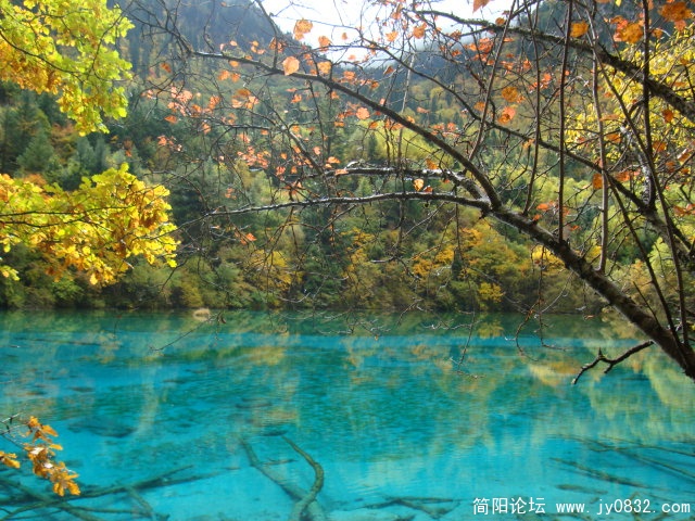 DSC03146.JPG