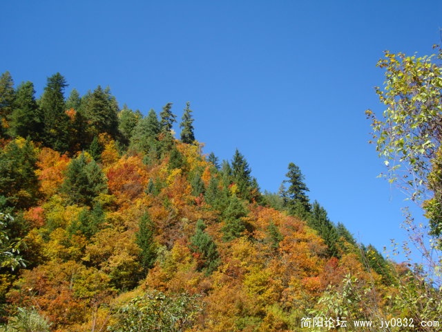 DSC03562.JPG