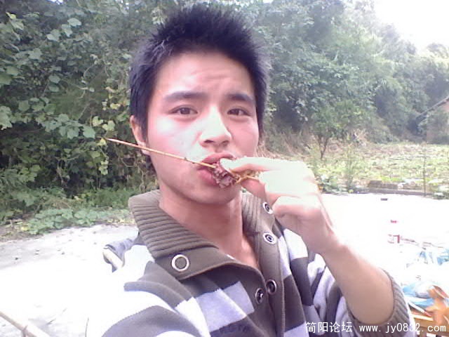 鹌鹑的吃相.jpg