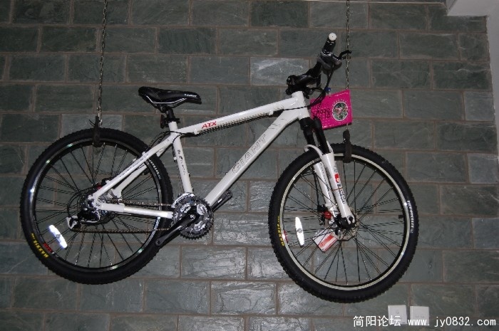 BigBull_DSC_6391.JPG