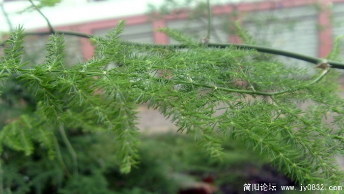 S73R2656.jpg