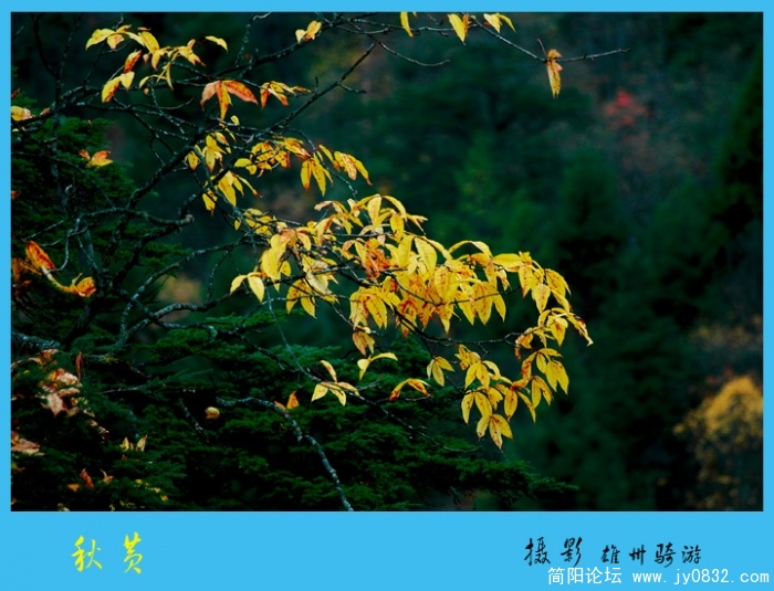 秋意浓01.jpg