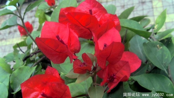 S73R2640.jpg
