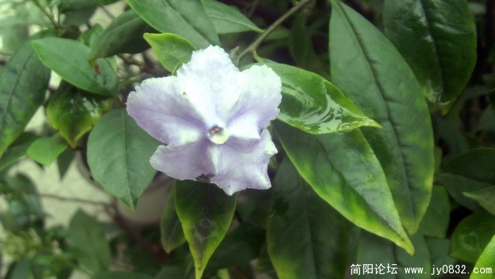 S73R2635.jpg