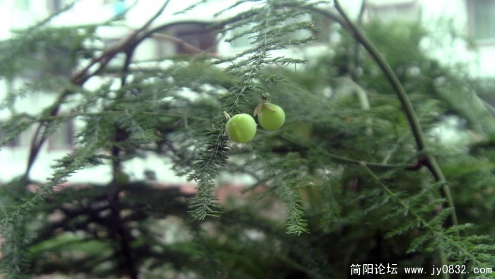 S73R2653.jpg