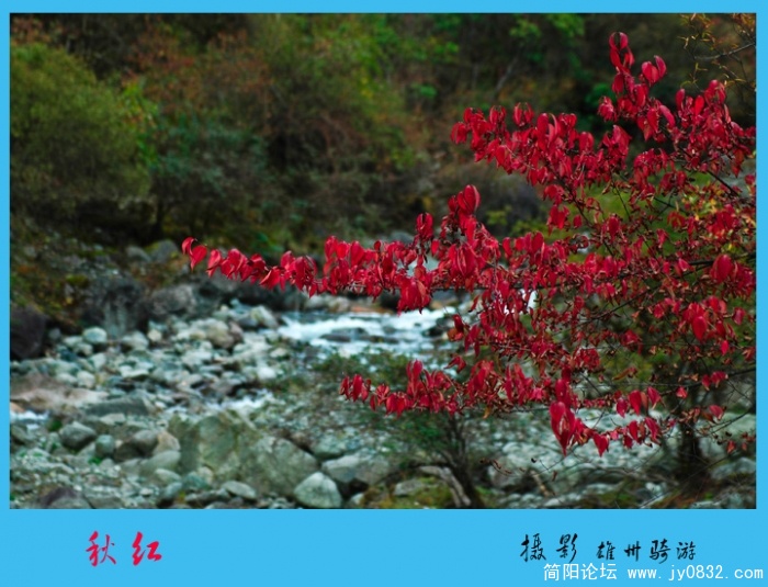 秋意浓00.jpg
