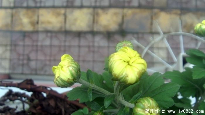 S73R2639.jpg
