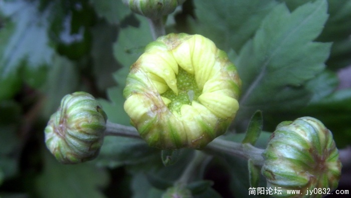 S73R2658.jpg