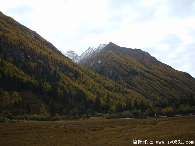 DSC04156.JPG