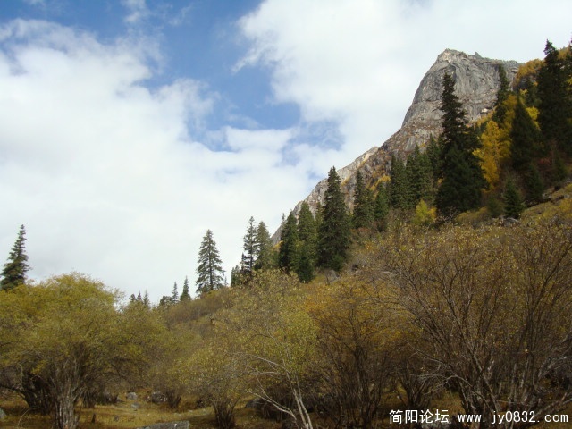 DSC04226.JPG
