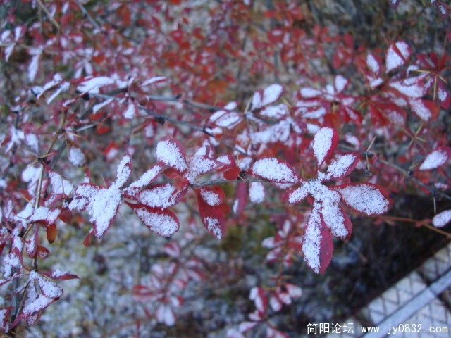 DSC04067.JPG