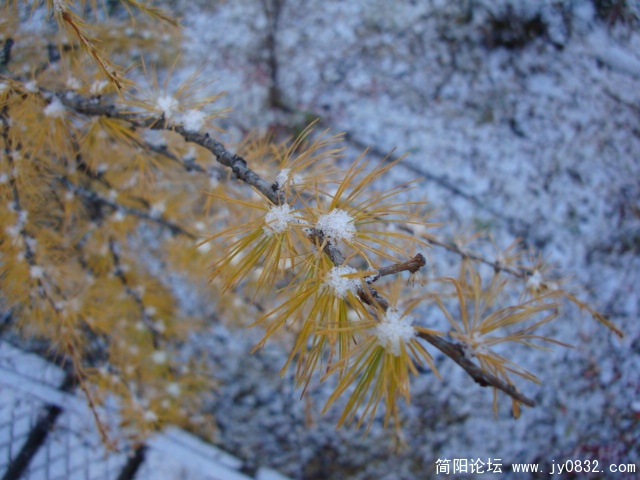 DSC04066.JPG