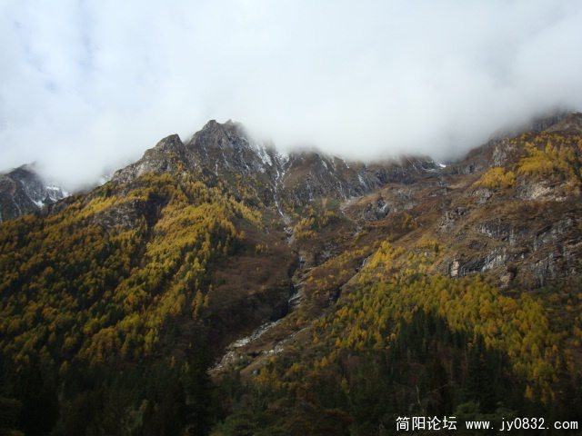 DSC04133.JPG