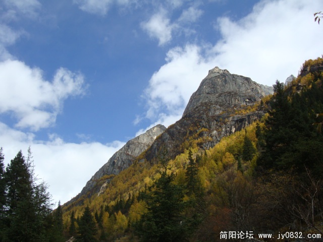 DSC04240.JPG