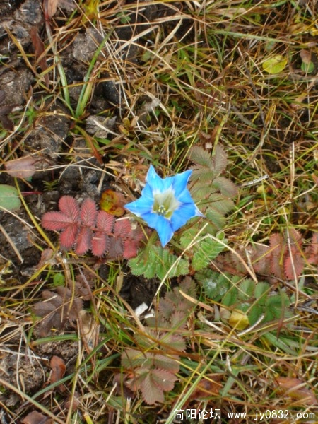 DSC04194.JPG