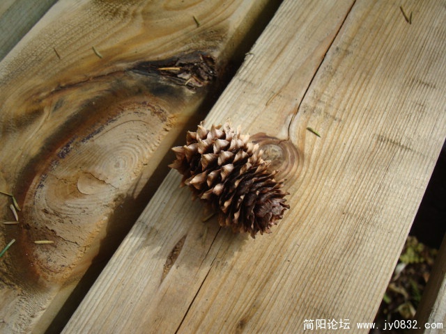 DSC04208.JPG