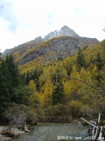 DSC04164.JPG