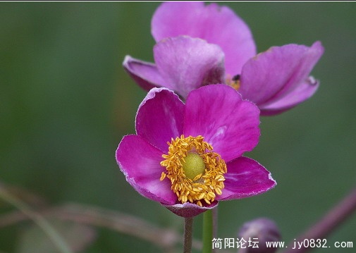 照片 049.jpg