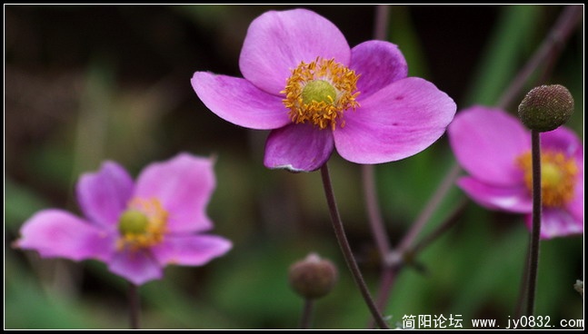 照片 060.jpg