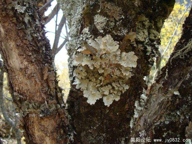 DSC04213.JPG