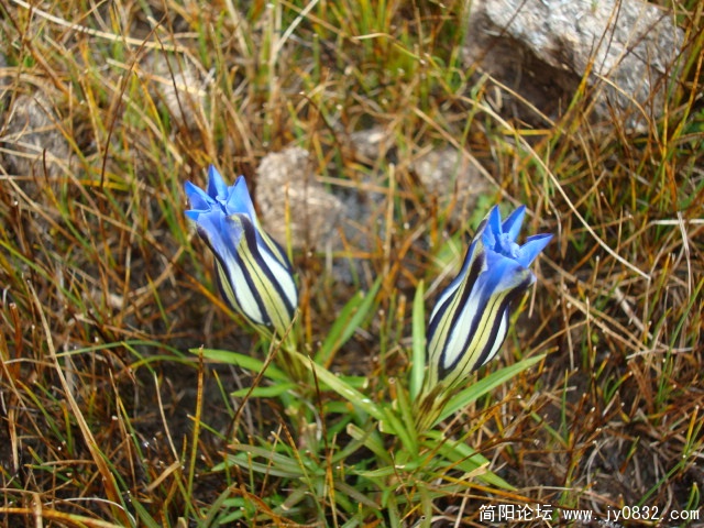 DSC04158.JPG