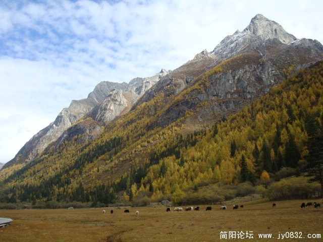 DSC04141.JPG