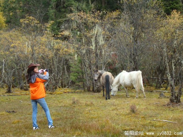 有白马，怎么没王子？嘿嘿