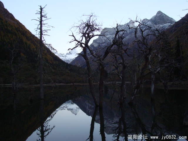 DSC04005.JPG