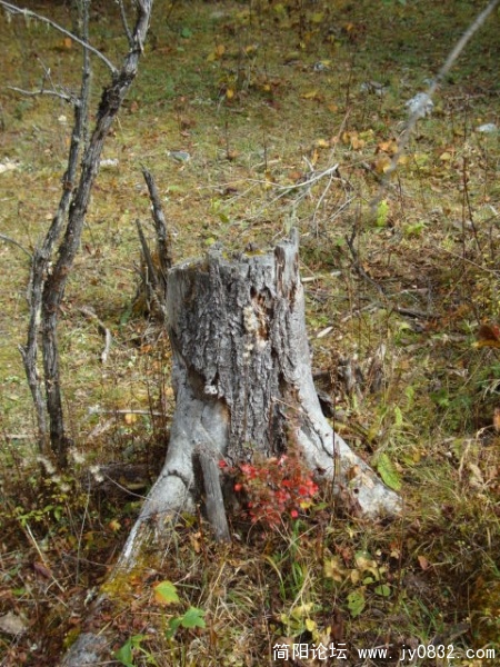 DSC04215.JPG
