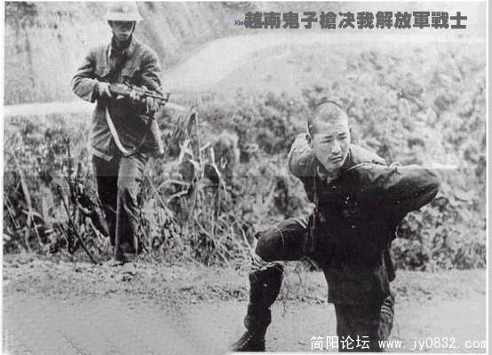 10.不忍心看的画面，我解放军侦察兵被越南鬼子俘虏并枪决！打倒越南杂碎！.JPG