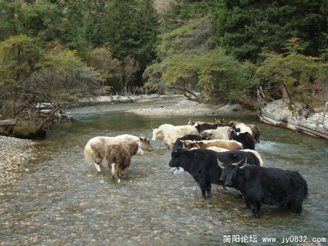 DSC04129.JPG