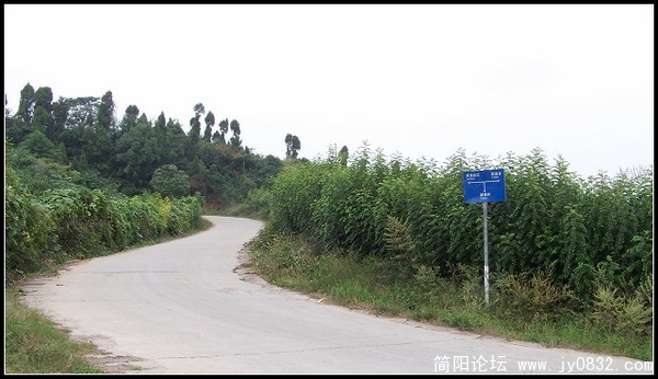 山路