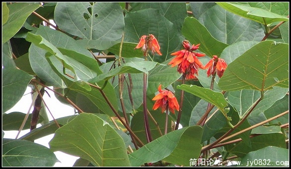 照片 072.jpg
