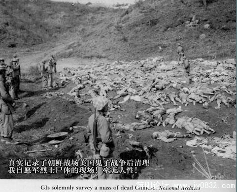 9.朝鲜战场美国鬼子清理战场，在场都是志愿军烈士的尸体.JPG